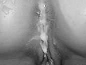 Amateur Creampies