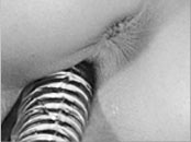 Hot Amateur Porn